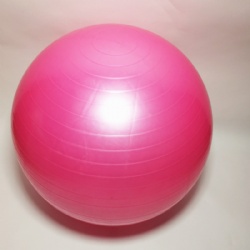 55cm GYM ball Custom Logo OEM Gym Exercise Swiss Balance PVC Yoga Ball